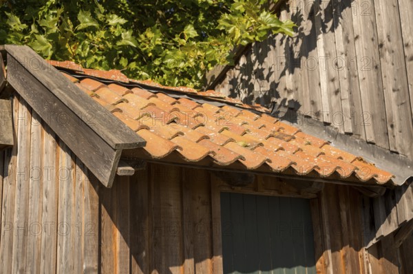 Borken, NRW, Germany, Rustic wooden shed featuring old terracotta roof tiles and green foliage