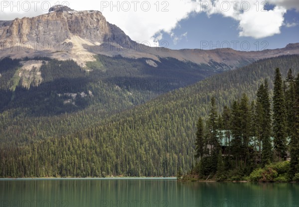 Forested Emerald Lake with the Canadian Rocky Mountains beneath a blue sky and scattered clouds