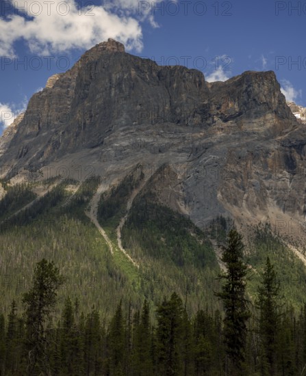 Steep rocky mountain peak of the Canadian Rocky Mountains with a forest at the base under a clear