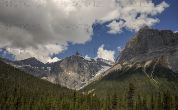 Rocky peaks of the Canadian Rocky Mountains under scattered clouds with a lush forest at the base