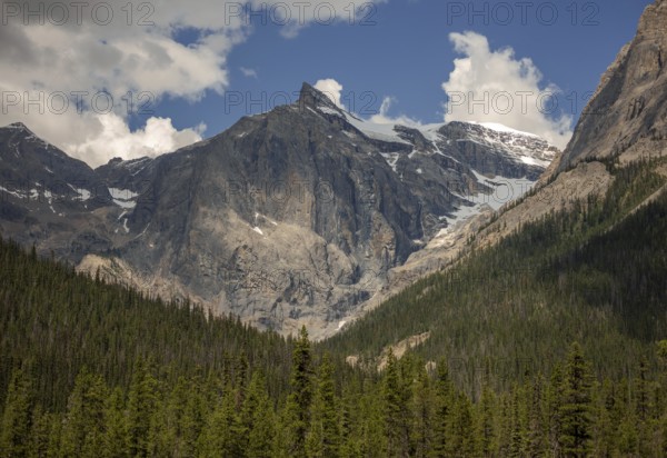 Imposing cliffs of the Canadian Rocky Mountains with snowy patches and dense forest beneath a clear