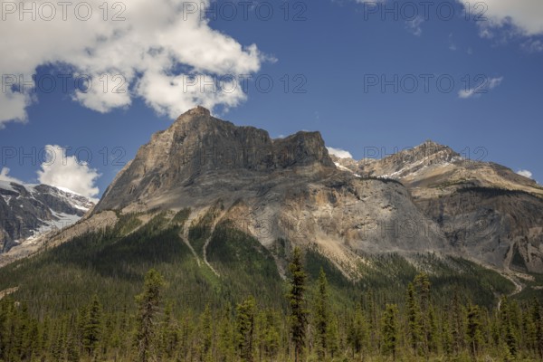 Massive mountain peaks of the Canadian Rocky Mountains surrounded by green forest and a clear blue