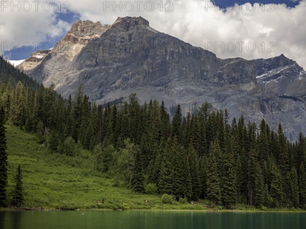 Imposing rocky mountain of the Canadian Rocky Mountains and dense forest with a bright sky and