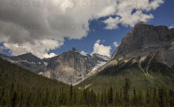 Dramatic mountain range of the Canadian Rocky Mountians under a cloudy sky with dense green forest