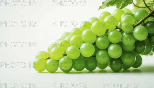 A close-up shot showcases a bunch of vibrant green grapes, beautifully arranged against a clean,