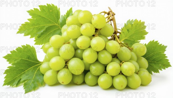 This image showcases a cluster of ripe, green grapes, complete with vibrant green leaves, set