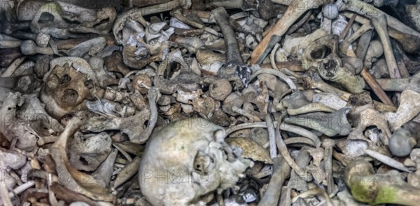 Lots of human bones from fallen soldiers seen at the Douaumont Ossuary, a memorial located near