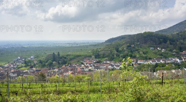 Scenery around Sankt Martin, a municipality in the Southern Wine Route area in Rhineland-Palatinate