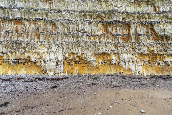 Chalk cliff closeup seen near Fecamp, a commune in the department of Seine-Maritime at the Normandy