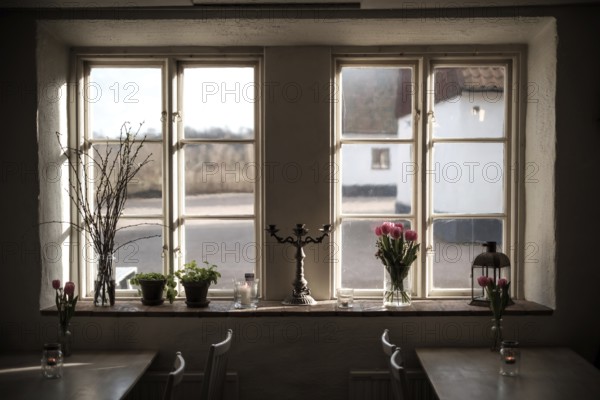 A window with indoor plants and a candlestick, reflecting warm sunlight and cozy interior in