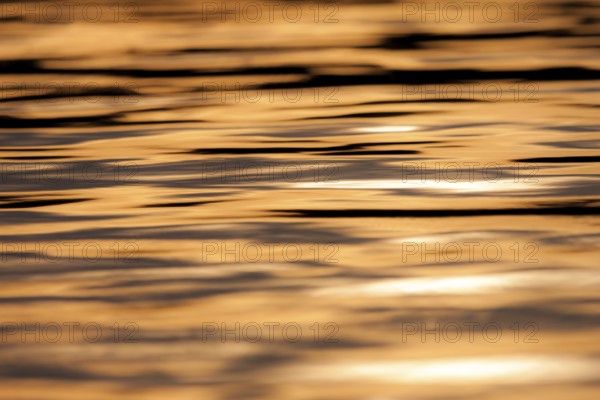 Calm water with ripples reflecting a warm orange sunset, creating a peaceful atmosphere in Muskoka,