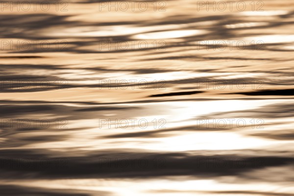 Golden light reflects on water, creating a serene ripple pattern as the sun sets in Muskoka,