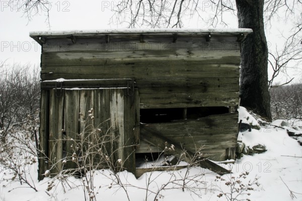 Weathered wooden cabin sits idle in a snowy landscape, conveying abandonment in London, Ontario,