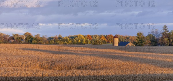 Golden fields stretch towards a distant silo in autumn in St. Thomas, Ontario, Canada, North