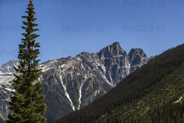 Mountain peaks with patches of snow rising above a rich evergreen forest as viewed along the Trans