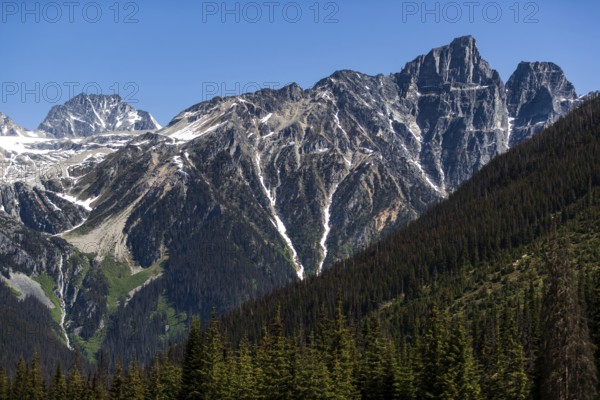 Mountain range with snow-covered peaks and vast forest under a clear sky as viewed along the Trans