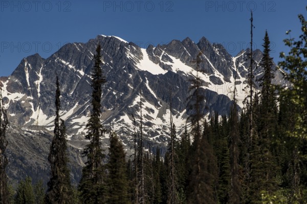 Jagged mountain range with patches of snow above a dense forest near Revelstoke, British Columbia,