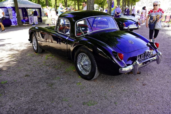 Oldtimer Classic, Gala International Concours d'Elegance Schwetzingen 2025, Germany, Europe, A