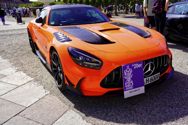 Oldtimer Classic, Gala International Concours d'Elegance Schwetzingen 2025, Germany, Europe, An