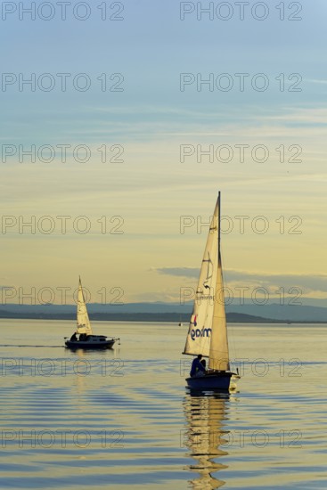 Lake Neusiedl, Burgenland, Austria, Europe, Two sailboats sailing at sunset on the smooth water