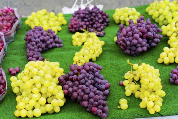 Farmers' market on Münsterplatz, Stall, Ulm, Baden-Württemberg, Germany, Europe, Fresh green and