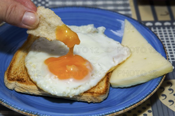 Close-up of dipping toast into a fried egg yolk, served with cheese on a blue plate, enjoying a