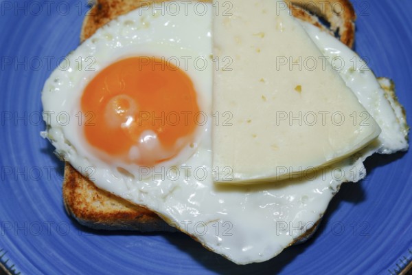Enjoying a simple yet satisfying breakfast with fried egg and cheese on toasted bread, served on a