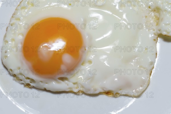 Close-up of a single fried egg sunny side up, showcasing the golden yolk and crispy edges of the