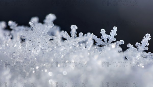 AI generated closeup image showing snow crystals in sunny ambiance