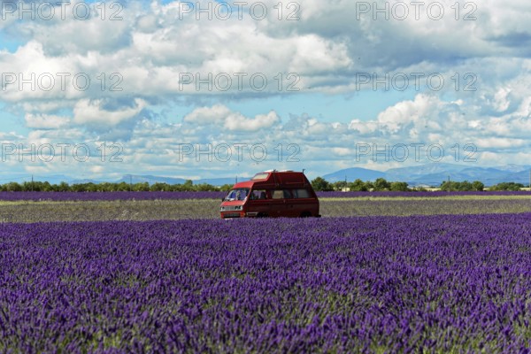 Red motorhome standing in a wide lavender field under a cloudy sky, Provence, Département
