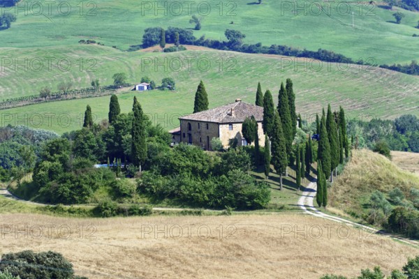 A Tuscan farmhouse surrounded by cypress trees on a hill in a rural setting, south of Pienza,