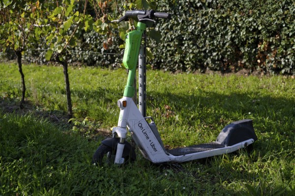 E-scooter, electric scooter, scooter parked in the vineyard next to vines, in the bike rental of