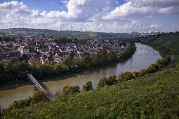Neckar river loops along vineyard, vines, grapevines, wine growing, district Münster, Freiberg,