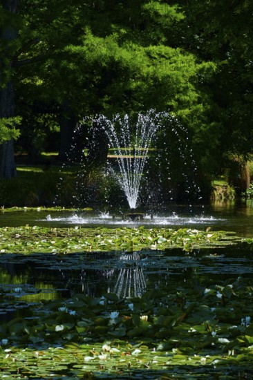 Fountain in a pond with bubbling water, surrounded by water lilies and green trees, Queenstown,