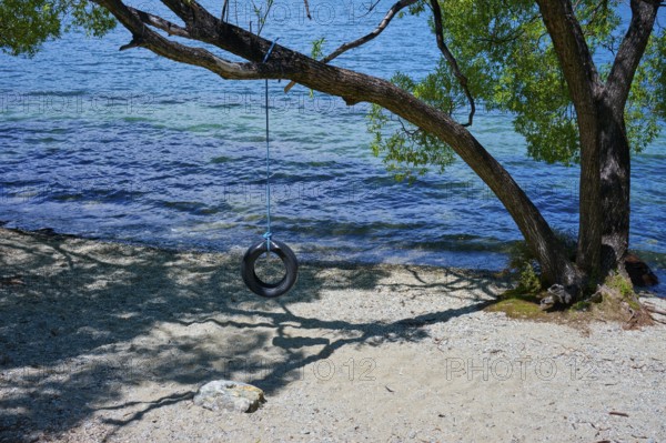 Tyre swing on a tree above a lake shore with water view, Queenstown, Queenstown-Lakes District,