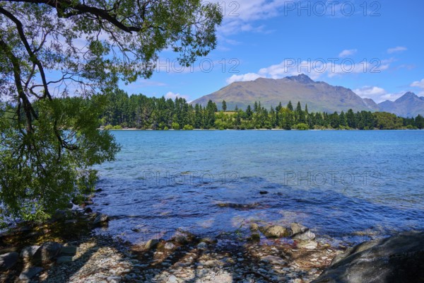 Clear lakeshore with view of mountains and forest in the background, Queenstown, Queenstown-Lakes