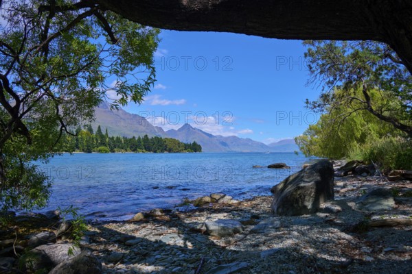 Shore view with trees, lake and mountain panorama in the background, Queenstown, Queenstown-Lakes