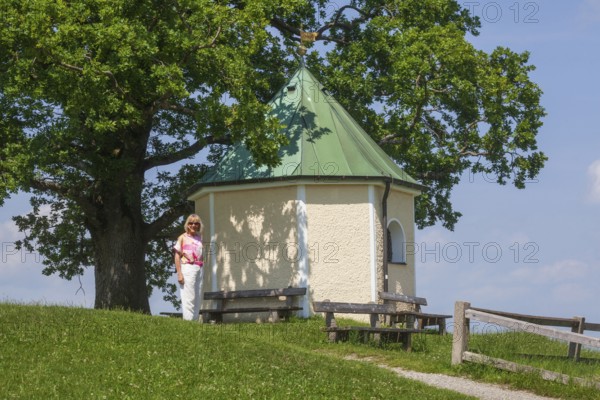 Lookout chapel with Luitpoldeiche, near Törwang, Samerberg, Chiemgau, Upper Bavaria, Bavaria,