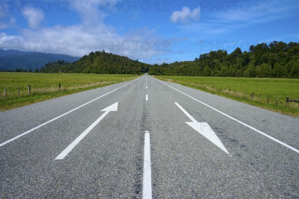 Straight country road with arrows, flanked by green fields and forest, West Coast, South Island,