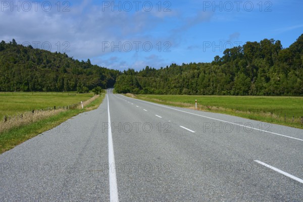 Empty road through rural fields and forests under a clear sky, West Coast, South Island, New