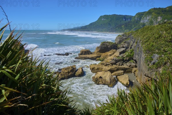 Stormy coastline with rocks and lush vegetation under a blue sky, Pancake Rocks, Westport,