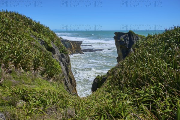 Cliff landscape with lush green vegetation and roaring sea behind the rocks, Pancake Rocks,