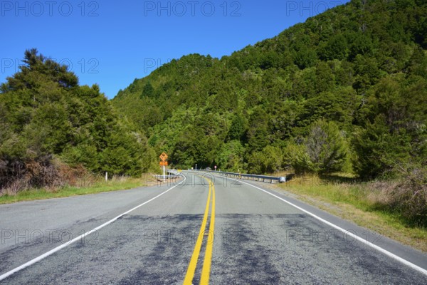 Tarmac road on a bend, surrounded by green forest and clear sky, Buller River, Murchison, Tasman,