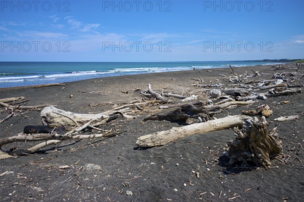 A coastal landscape with driftwood and blue sky, Mana Bay, Patea, Taranaki, North Island, New