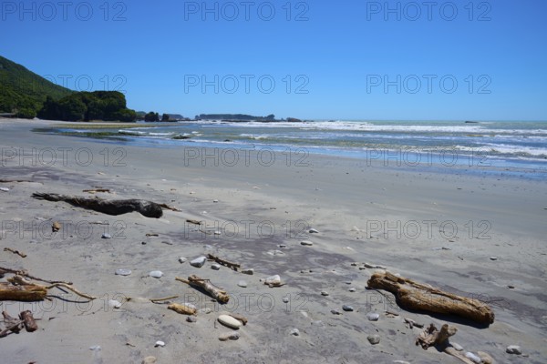 Extensive sandy beach with driftwood and gentle waves under a clear blue sky, West Coast, South