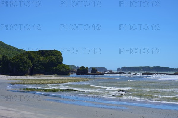 Coastal landscape with rocks, green hinterland and calm waves, West Coast, South Island, New