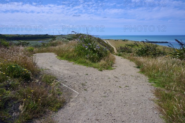 A sandy path leads through grassland to the distant sea under a blue sky, Mana Bay, Riverview