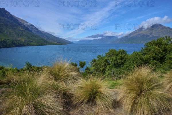 Tall grasses in the foreground with a view of a lake and surrounding mountains, Drift Bay, Lake