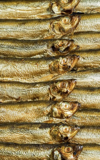 Detail shot showing lots of fresh smoked sprats