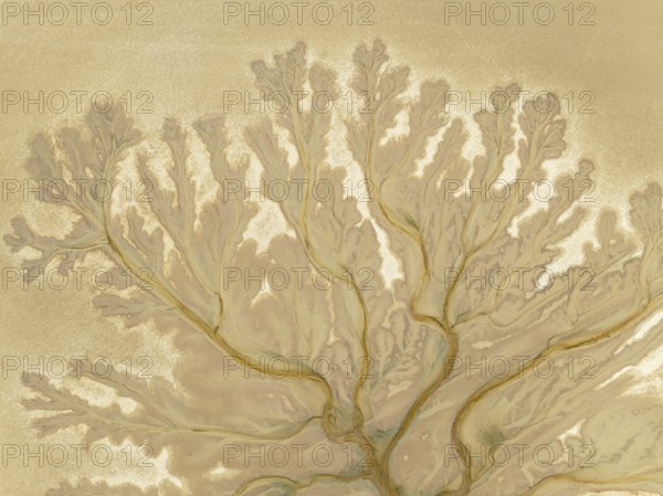 Abstract patterns at low tide in the marshland of the Nature Reserve La Breña y Marismas del